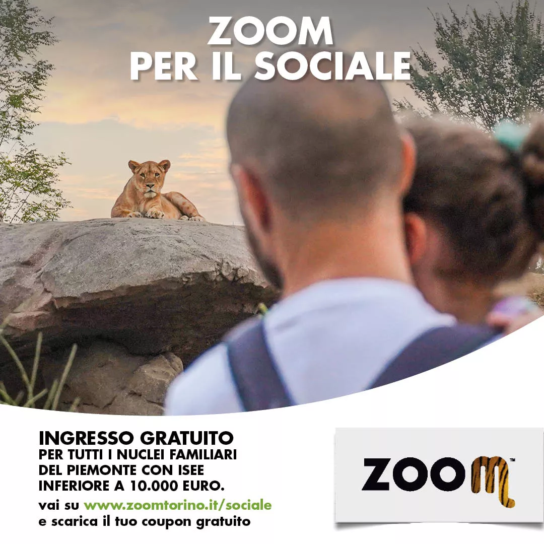 Un'immagine generica segnaposto con angoli arrotondati in una figura.